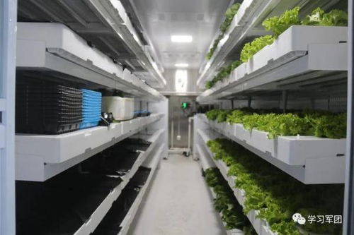 海拔4900米,有一座温暖的 植物工厂