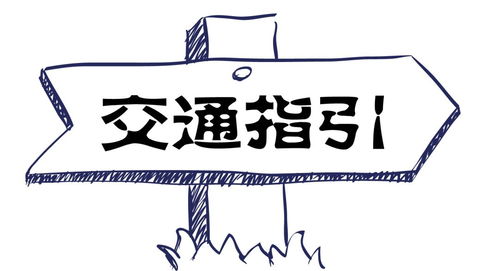 元宵佳节新体验 水稻国家公园里的彩灯与易物之旅