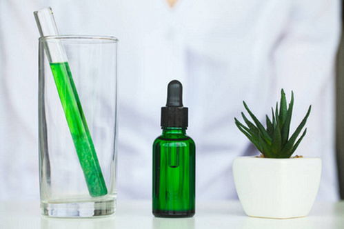 植提大师深耕B2B电商优势，以易物新模式助力行业快速发展