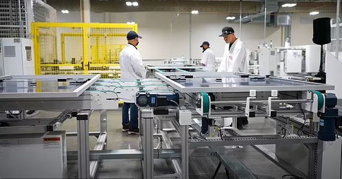 金主被曝光 美国华裔富豪斥百万种大麻 像动物一样虐待员工